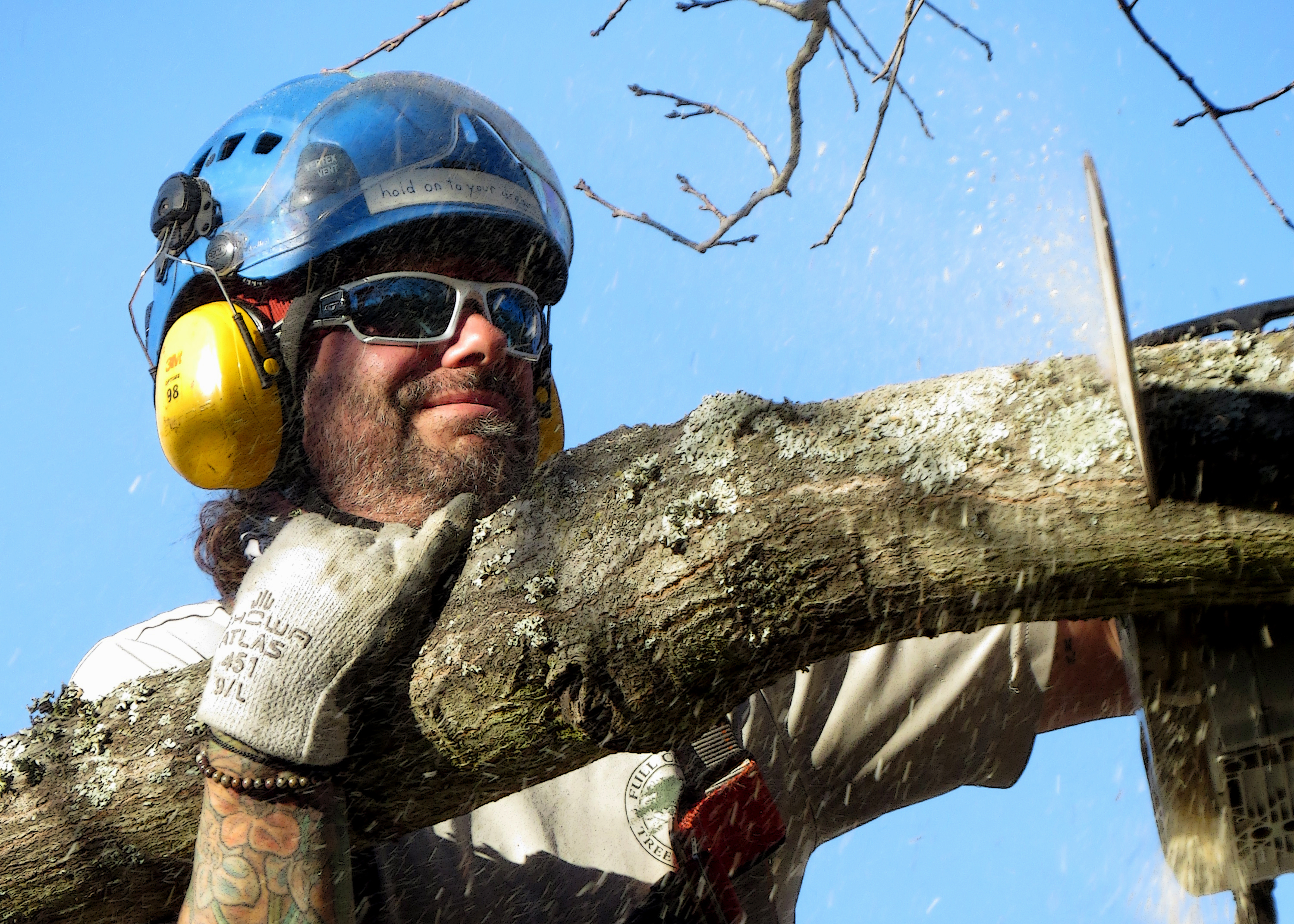 DO I NEED A LANDSCAPER OR TREE SERVICE?